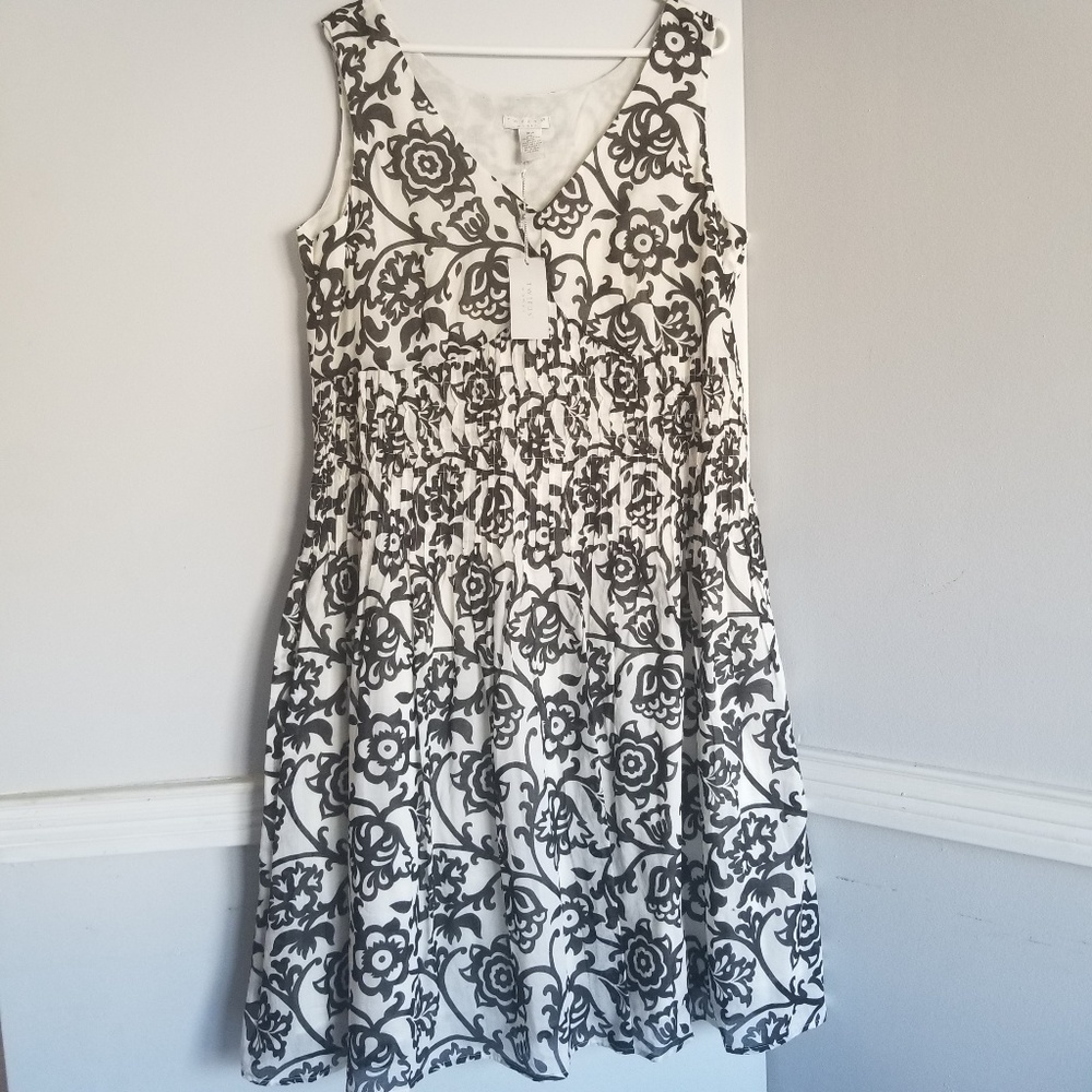 NWT tweeds woman 18w floral dress black and white